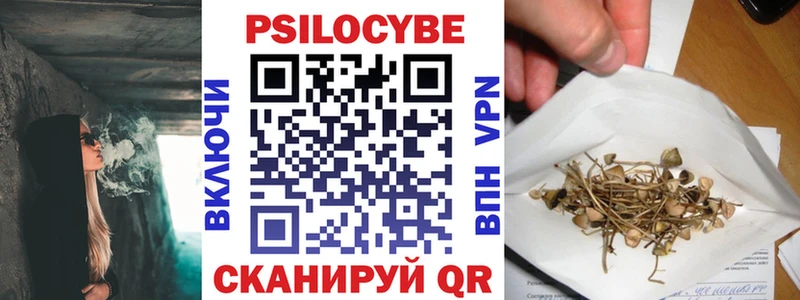 Псилоцибиновые грибы Psilocybe  Новодвинск 