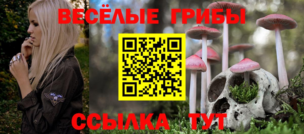 Псилоцибиновые грибы прущие грибы Новодвинск