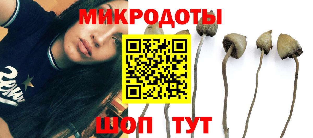 Новодвинск  Галлюциногенные грибы ЛСД  Вход с VPN 